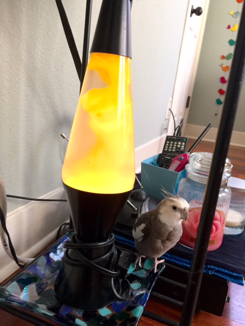 Are you sure this is the spot, Mom?