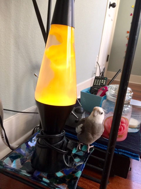 What is it called again - "mood lighting?" 