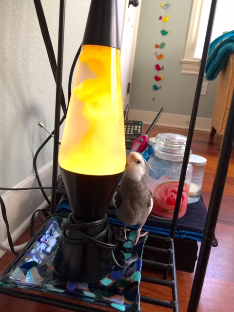 I don't get it. It looks like that yellow part inside the hard boiled egg - the part I don't like.