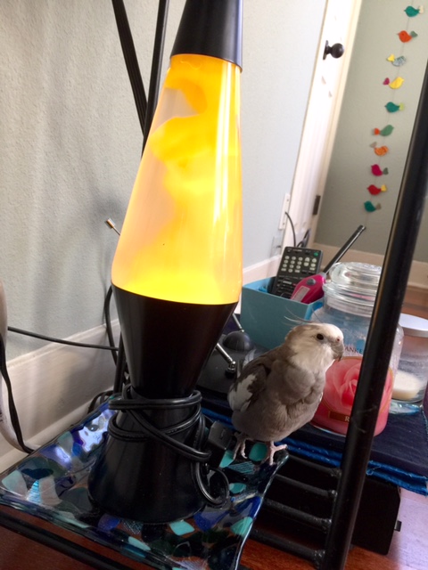 Can we see some other options?