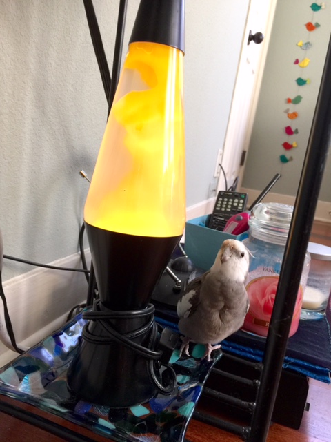 Honestly, Mom, it doesn't say "romance" to me.