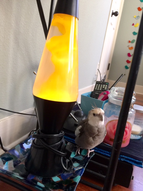 Well, that explains a lot....