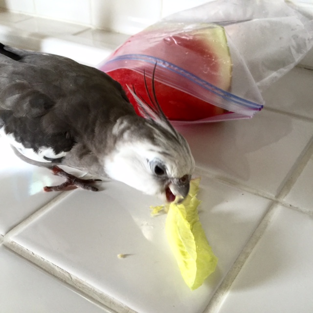 You know - your flavor is not half-bad!