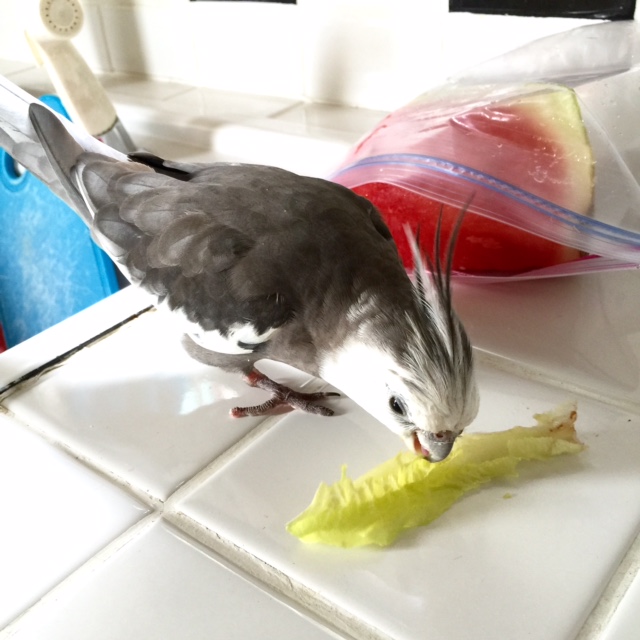 Speaking of which....