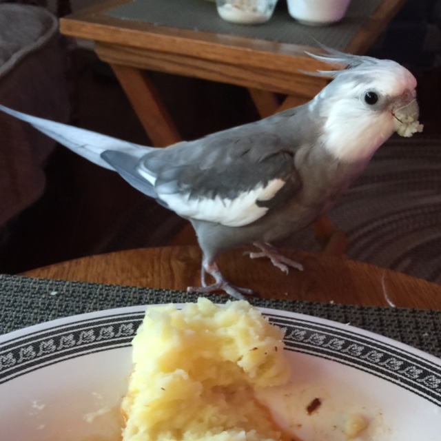 That's right, Mom - just stand right there to snap each look. I will begin with a fresh take on a classic look. I will call it "Fling Your Way to Success!"