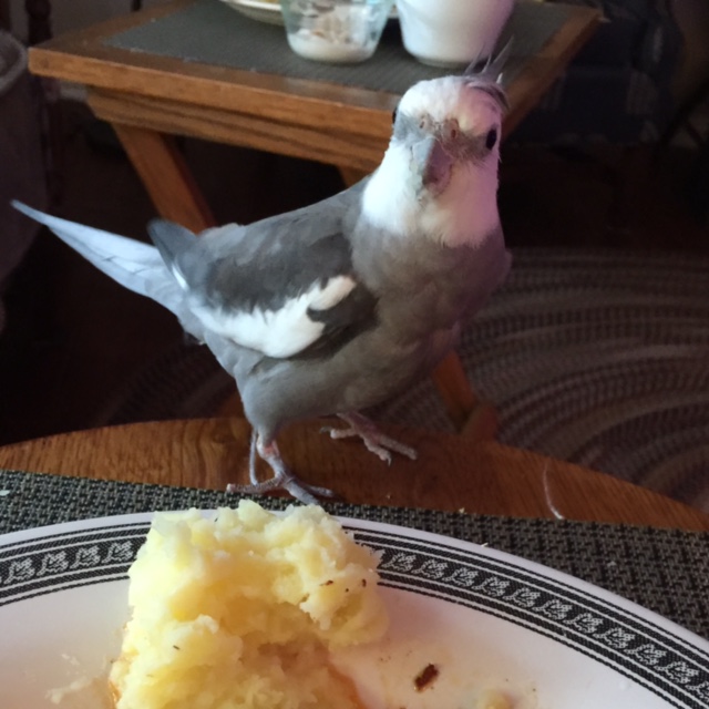 For me? Thanks, Grandma - I'll just dig right in!