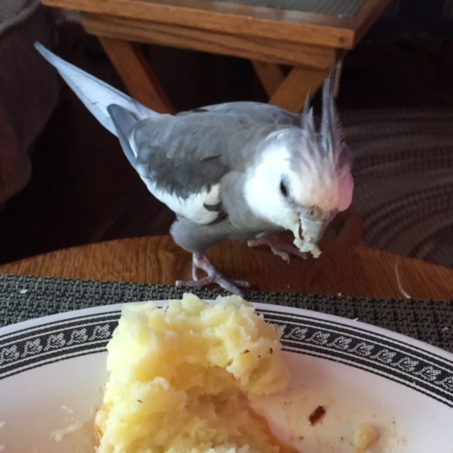 We'll call it "Lunching with the Designer" and I will awe and amaze my fans by creating new fashionable looks right in front of their eyes!