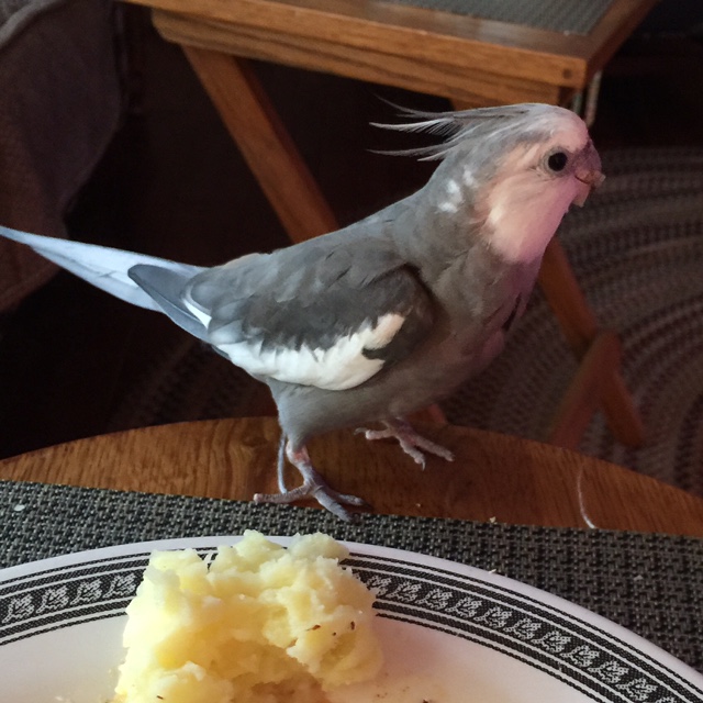 What's that, Mom? I'm scheduled to unveil some new designs during this time slot?