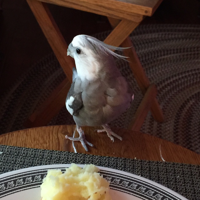 A line is already forming? Yes, I suspect it is.