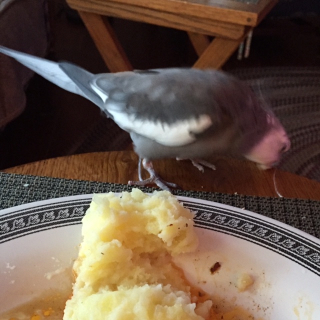 And I can just use this "refreshing station" over here to freshen up between looks.