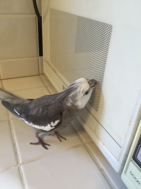 Just hang tight! I promise I'm going to get you out of there!