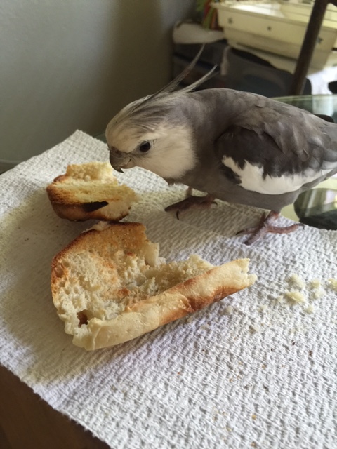 Well that was delicious. And victorious. And delicious. Oh, and victorious....