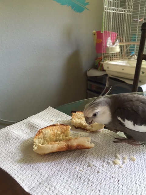 So you're the big bad toasted ops, eh?