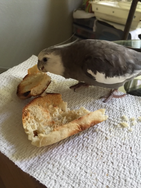 What do you mean, "I should be scared?" 