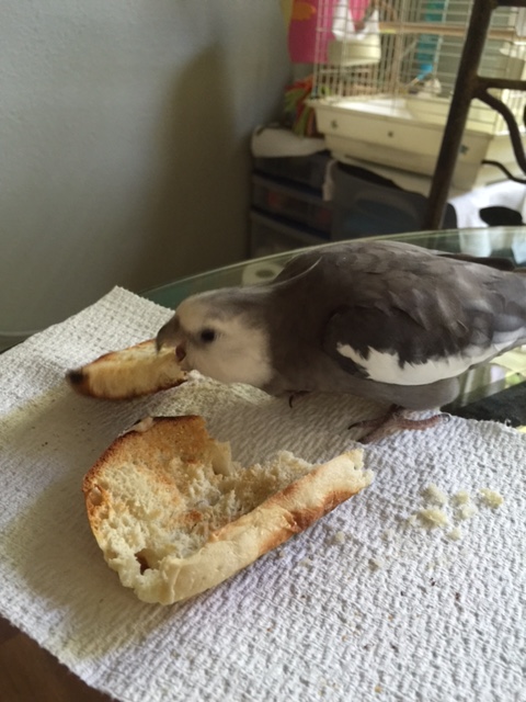 I'll show you who should be scared!