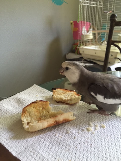 Well, you don't scare me.