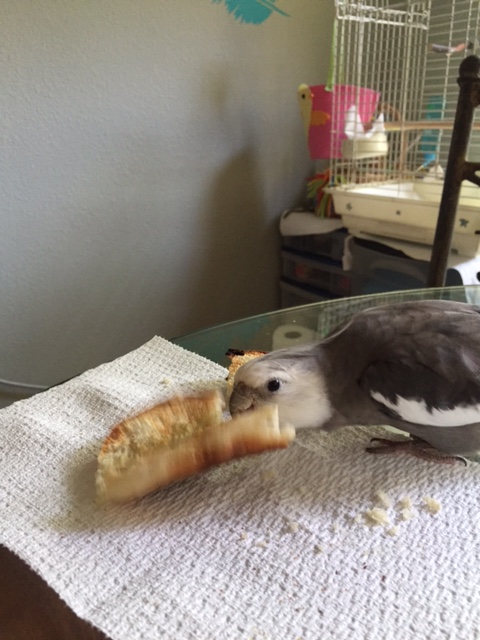 Who's scared now, huh, huh, huh?!