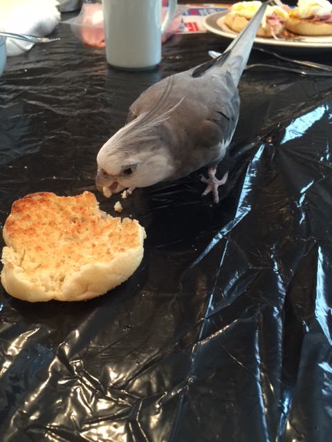 What do you mean you're worried you aren't delicious enough?