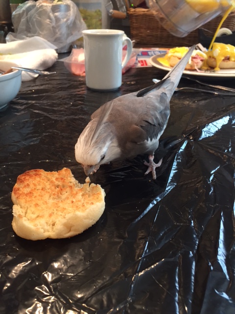 Although this one looks so fresh, we may need to go over the security protocols one more time.