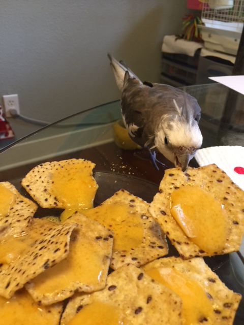 Them's bold words for a being who is about to be my lunch.