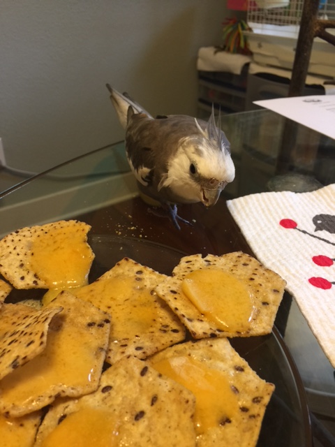 They sure do look ferocious. I'd better introduce myself before digging in.