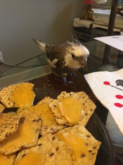 What's that? You're not intimidated by my fancy title?