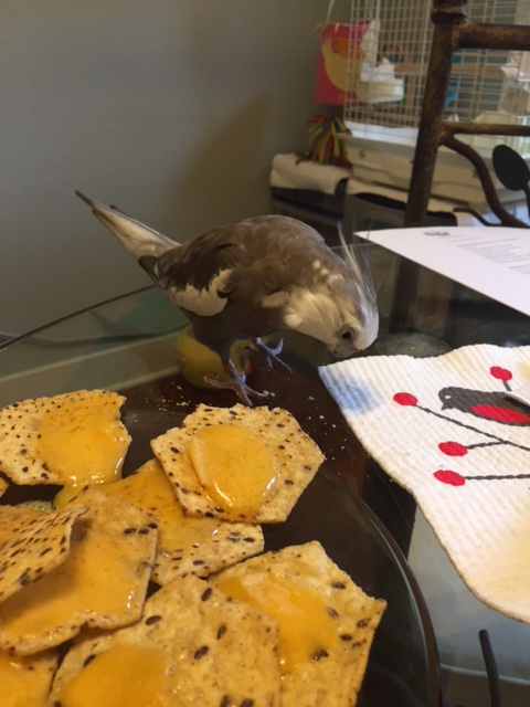 As .007, I always pay my respects to the prey after each of my kills.