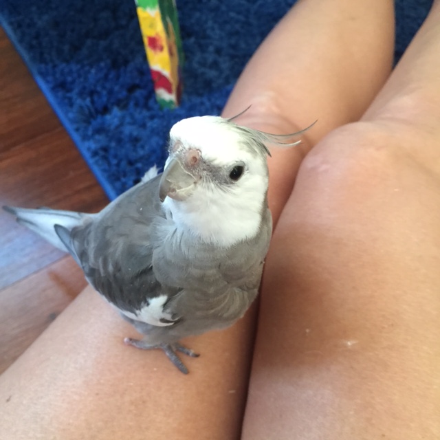 Well yes they are very itchy.