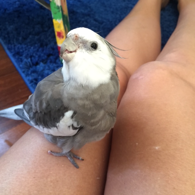 Well, yes, that means I want it right away.