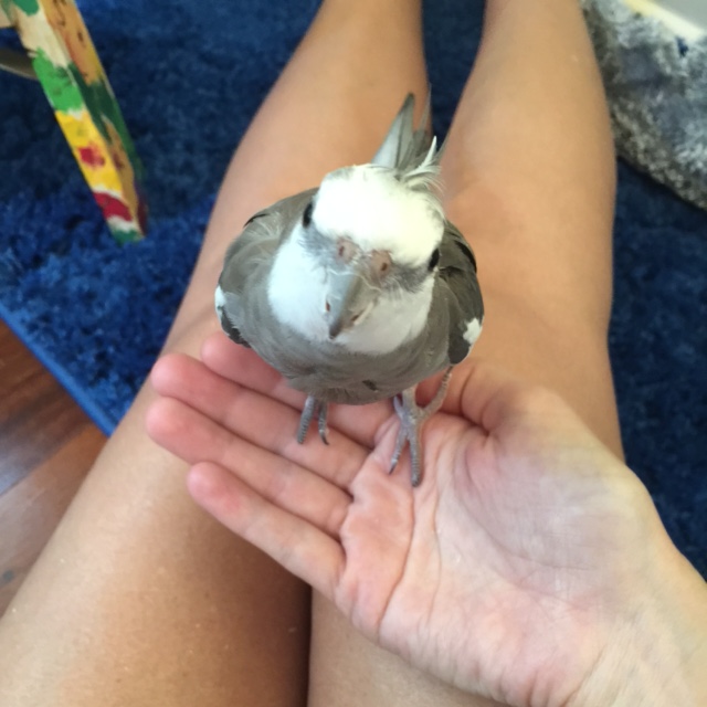 Aha. Now we're getting somewhere. 