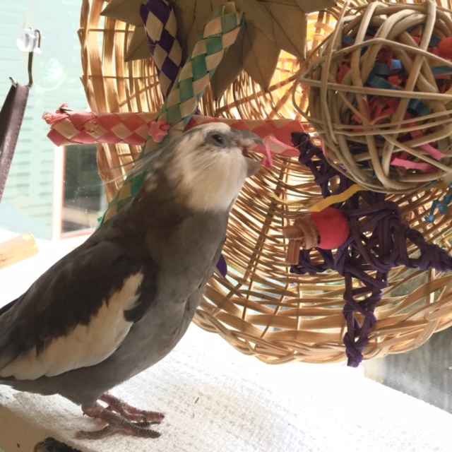 It probably isn't enough to just mark it in one place - I'd better mark it in a few more places so no one gets confused.