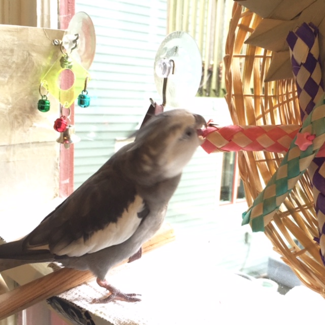 That mark might be too small for some beings to notice - I'll just make my mark a bit bigger.