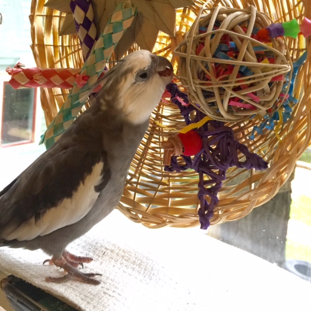 I'll just make one more final mark up higher for taller beings to see.