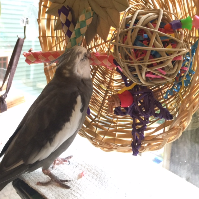 I'll do another mark over here in the center - it will be visible from any direction to let others know this wicker wheel is taken.