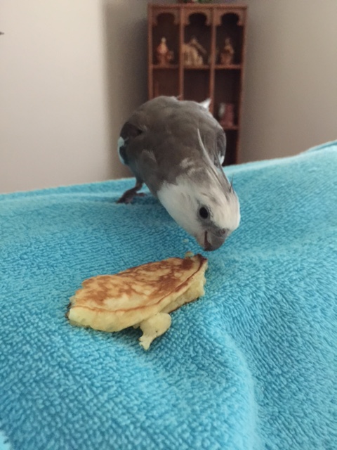 Okay, look, since the Small Chef made you I already know you're very tasty. 