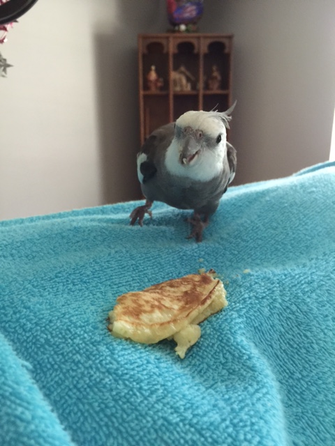 I hear the sounds of slithering paparazzi.