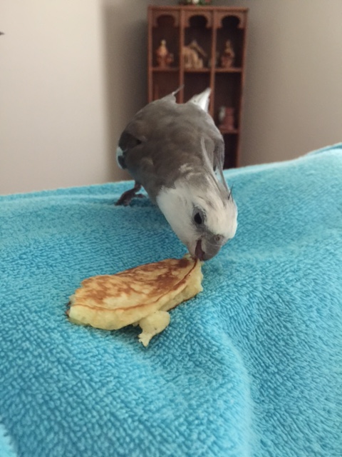 Nom nom....yup....but I get ahead of myself.