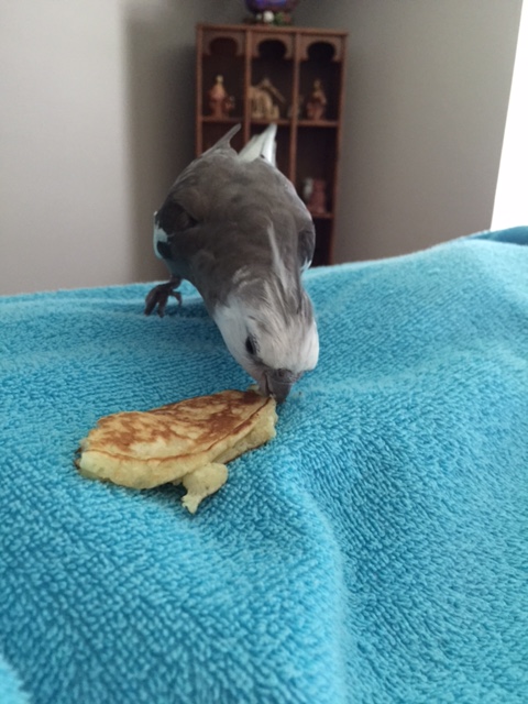 So just hold still and I'll do all the heavy lifting.