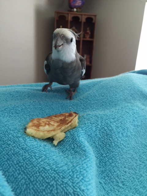 And let her know I'm especially appreciative of how "flingable" this pancake is about to become....