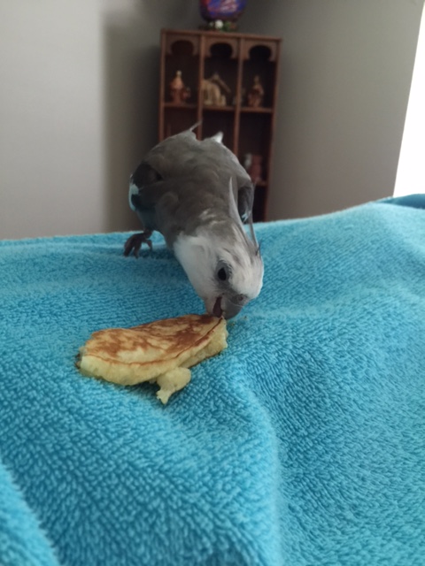 Very light, flavorful, moist and tender - just the way I like them.