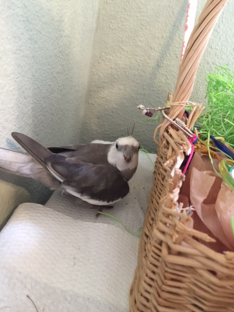 Oh for goodness sake, Mom - we're personalizing here!