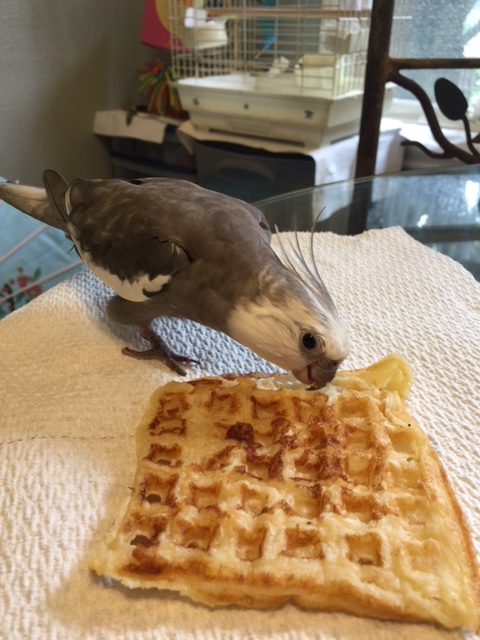 How about you? Could we perhaps consider this conversation over, well, lunch?