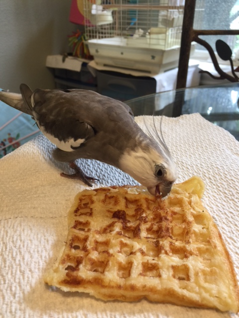 I promise to feature only the finest cuisine!