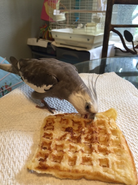 What did you say, my love? I was too busy chewing and didn't hear you....