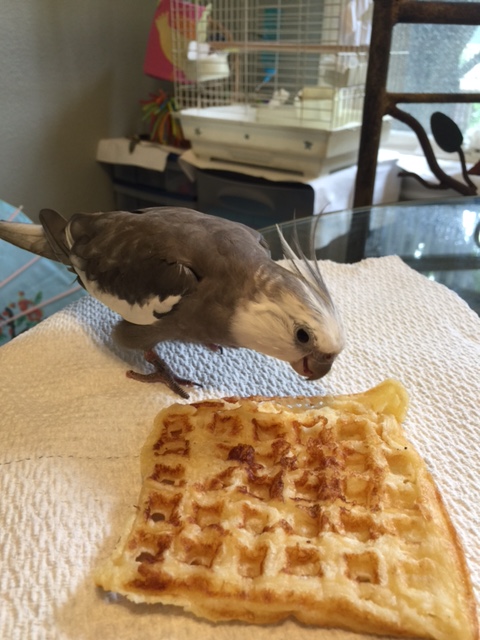 Boy, I sure am hungry all of a sudden!