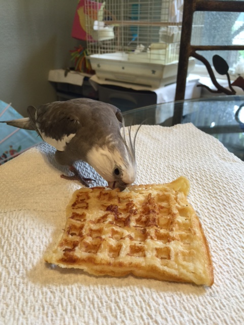 And I am smitten by your beauty and divine fragrance.