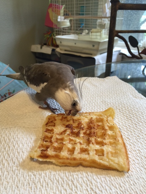 Might I offer you just the tiniest "love bites" - as a sign of my enduring affection, of course.