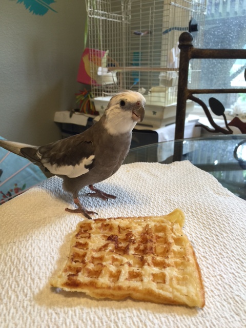 Oh! Be still my heart!