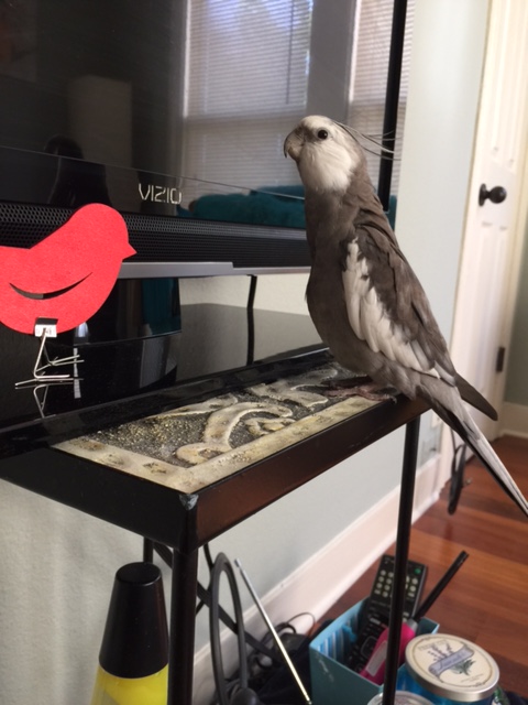 How about sharing a sunflower seed instead? You like sunflower seeds, don't you?
