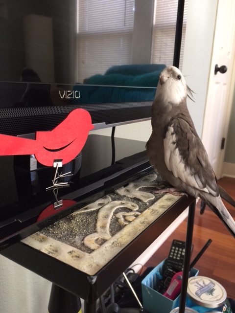 It is my great pleasure to meet you, Miss Red Bird! 
